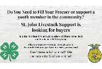 click to see full size image